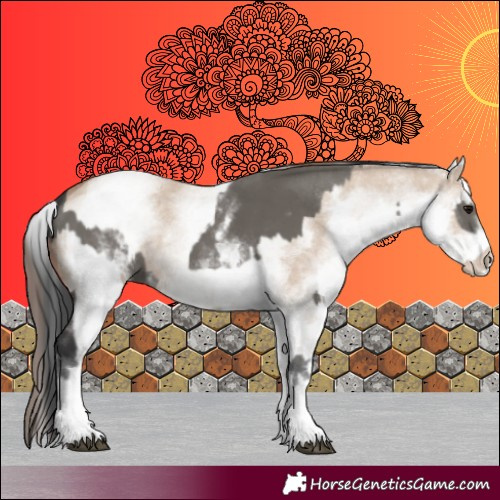 Horse Color:White Spotted Grullo Rabicano  and White Spotted Classic Champagne Dun Rabicano 