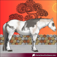 Horse Color:White Spotted Grullo Rabicano  and White Spotted Classic Champagne Dun Rabicano 