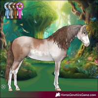 Horse Color:White Spotted Black Pearl 