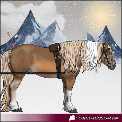 Horse Color:Chocolate Palomino Tobiano 