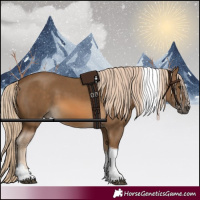 Horse Color:Chocolate Palomino Tobiano 