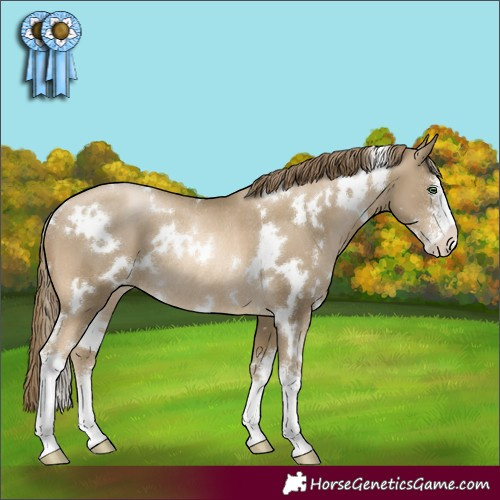 Horse Color:White Spotted Smoky Black Pearl Sabino Rabicano 