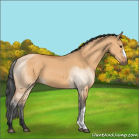 Horse Color:Bay Dun