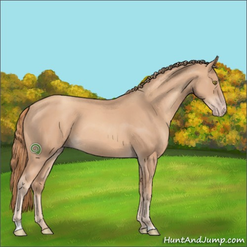 Horse Color:Gold Champagne