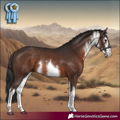 Horse Color:White Spotted Brown Rabicano 