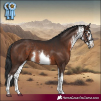Horse Color:White Spotted Brown Rabicano 