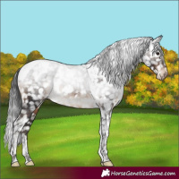 Horse Color:Brown Tobiano Snowcap Rabicano 