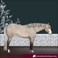 Horse Color:Silver Brown Roan Dun Sabino 