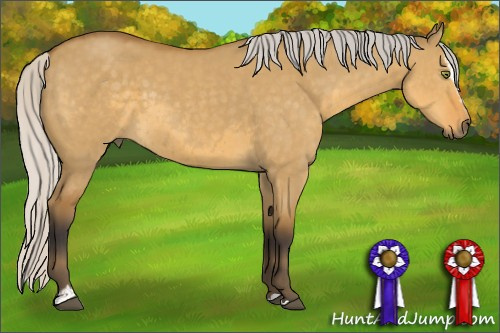 Horse Color:Unknown 
