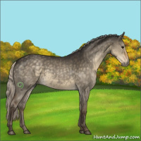 Horse Color:Silver Smoky Grullo 