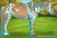 Horse Color:Thunderstruck White Spotted Chestnut 