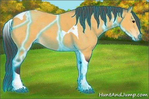 Horse Color:Thunderstruck Buckskin Tobiano