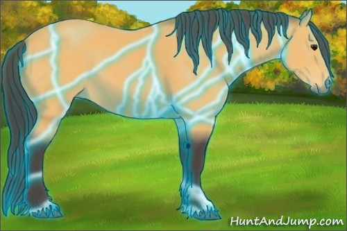 Horse Color:Thunderstruck Buckskin 