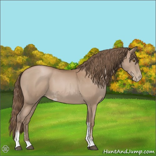 Horse Color:Black Pearl Sabino