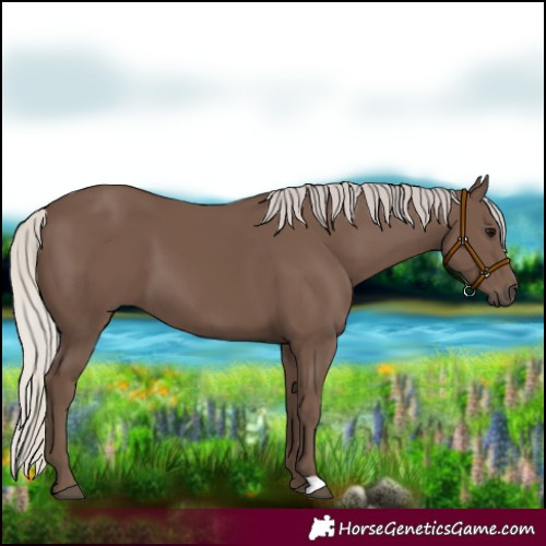 Horse Color:Silver Black 