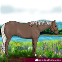 Horse Color:Silver Black