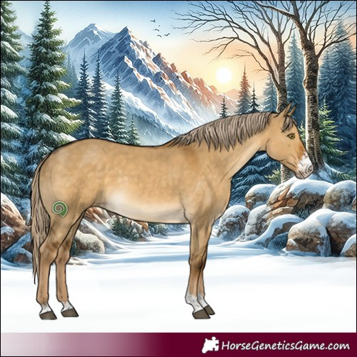 Horse Color:Chocolate Palomino Dun Sabino 