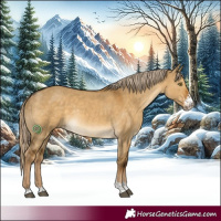 Horse Color:Chocolate Palomino Dun Sabino 