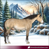 Horse Color:Buckskin Dun Sabino Brindle
