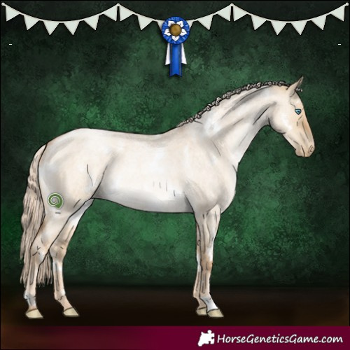 Horse Color:White Spotted Chocolate Palomino Roan Pearl Dun 