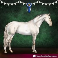 Horse Color:White Spotted Chocolate Palomino Roan Pearl Dun 