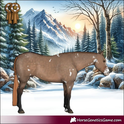 Horse Color:White Spotted Liver Red Dun Sabino 