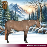 Horse Color:White Spotted Liver Red Dun Sabino 