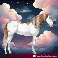 Horse Color:Gold Champagne Splash Frame Blanket 