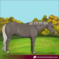 Horse Color:Silver Black 