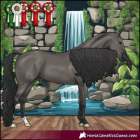Horse Color:Grullo 