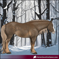 Horse Color:Chocolate Palomino Splash 