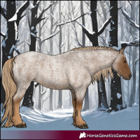 Horse Color:Chocolate Palomino Roan 