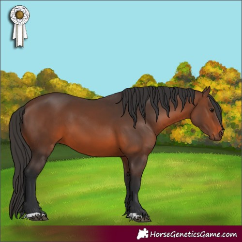 Horse Color:Brown 