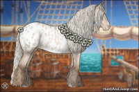 Horse Color:White Spotted Silver Grullo Pearl Sabino Appaloosa