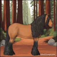 Horse Color:Bay 