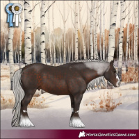 Horse Color:Silver Brown Sabino Tobiano