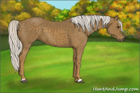 Horse Color:Silver Smoky Black