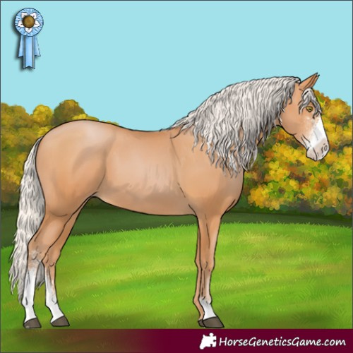 Horse Color:Silver Bay Pearl Sabino 