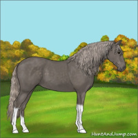 Horse Color:Silver Black Tobiano