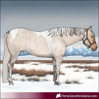 Horse Color:Silver Brown Roan Dun Tobiano Rabicano