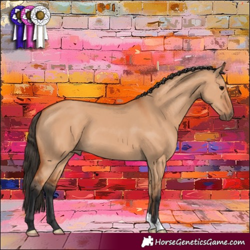 Horse Color:Bay Dun