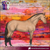Horse Color:Bay Dun 