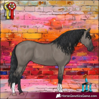 Horse Color:Grullo 