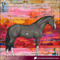 Horse Color:Grullo