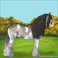 Horse Color:Blue Onyx Splash 