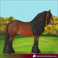 Horse Color:Bay Rabicano  and Bay Rabicano 