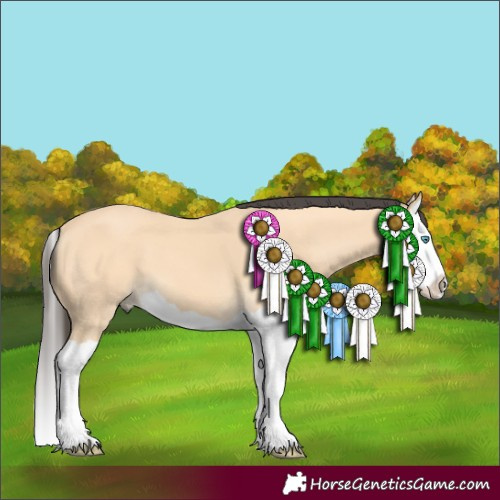 Horse Color:Buckskin Splash
