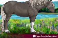 Horse Color:Silver Black Tobiano 