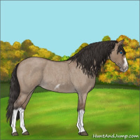 Horse Color:Bay Roan Dun Splash Frame 
