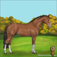 Horse Color:Bay Splash Frame 